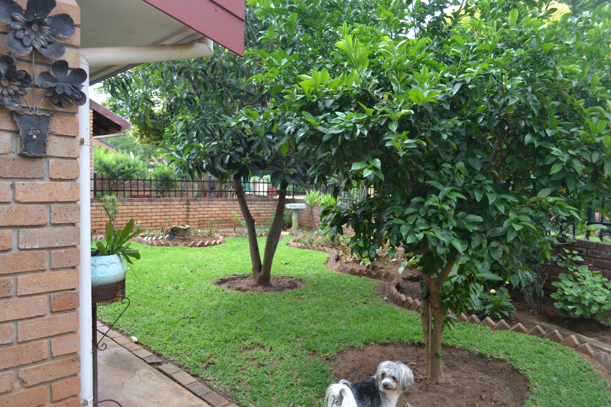 House for sale in Mookgopong (Naboomspruit) - 1MDM1720729