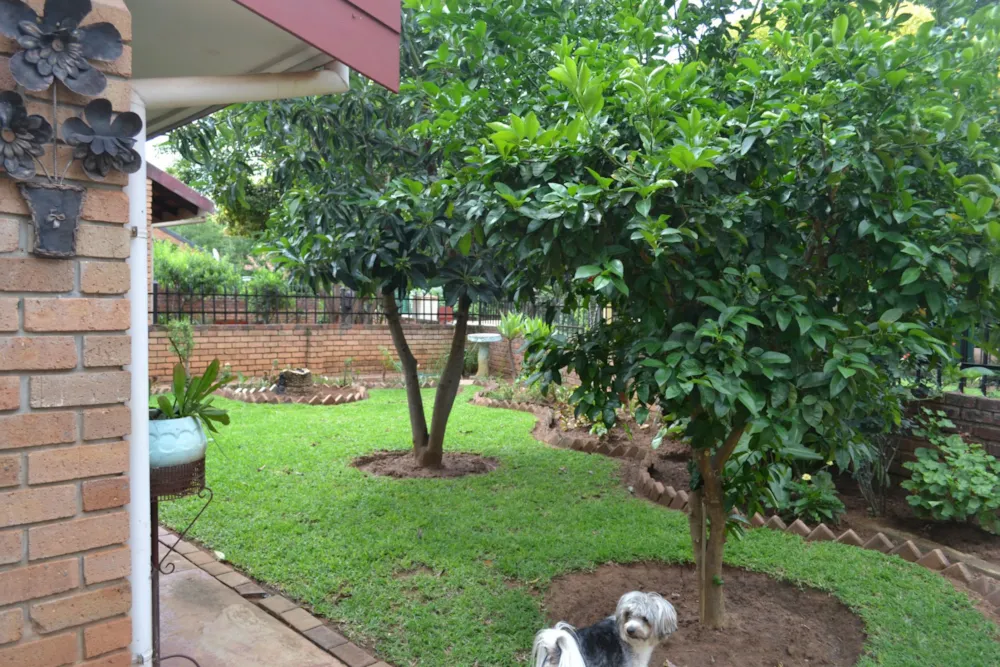 House for sale in Mookgopong (Naboomspruit) - 1MDM1720729
