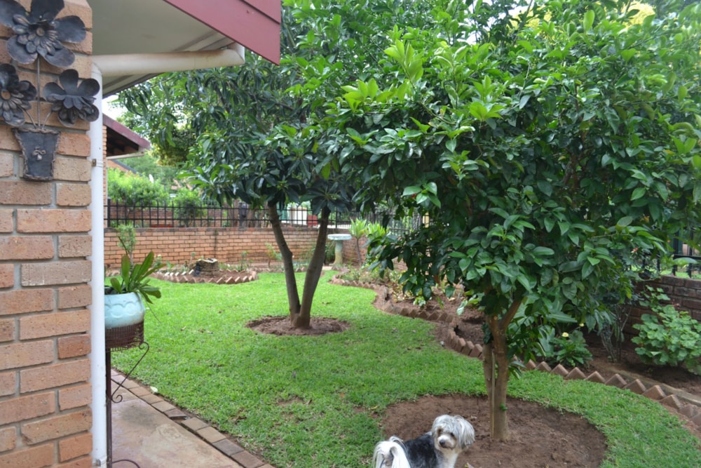 House for sale in Mookgopong (Naboomspruit) - 1MDM1720729