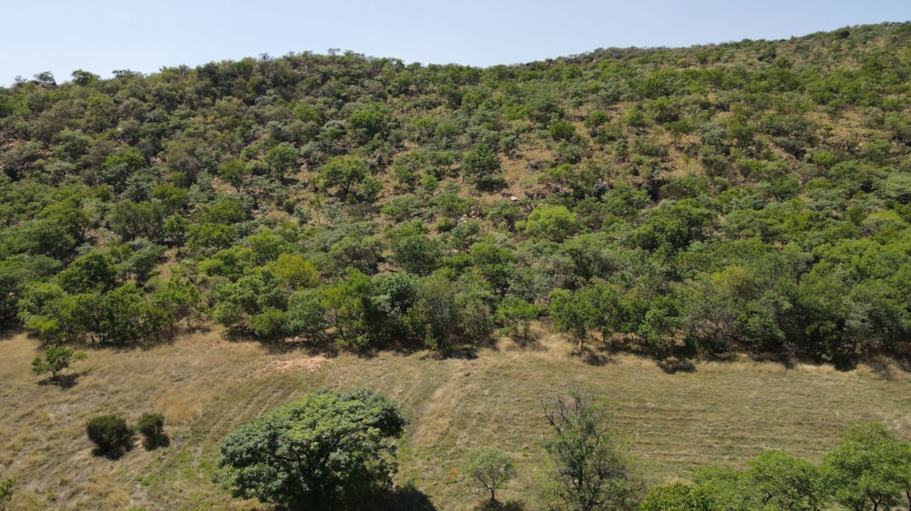 Mixed use farm for sale in Boshoek - 1RU1720739