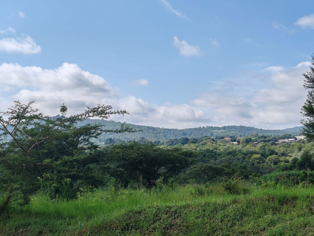 Vacant land for sale in Tzaneen, Limpopo Province - 1TA1720839