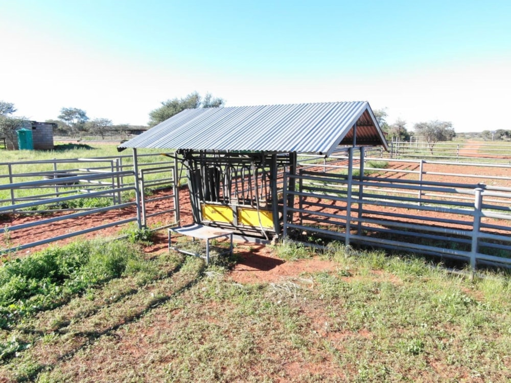 Livestock farm for sale in Douglas - 1KJ1721037 Livestock farm for sale in Douglas - 1KJ1721037