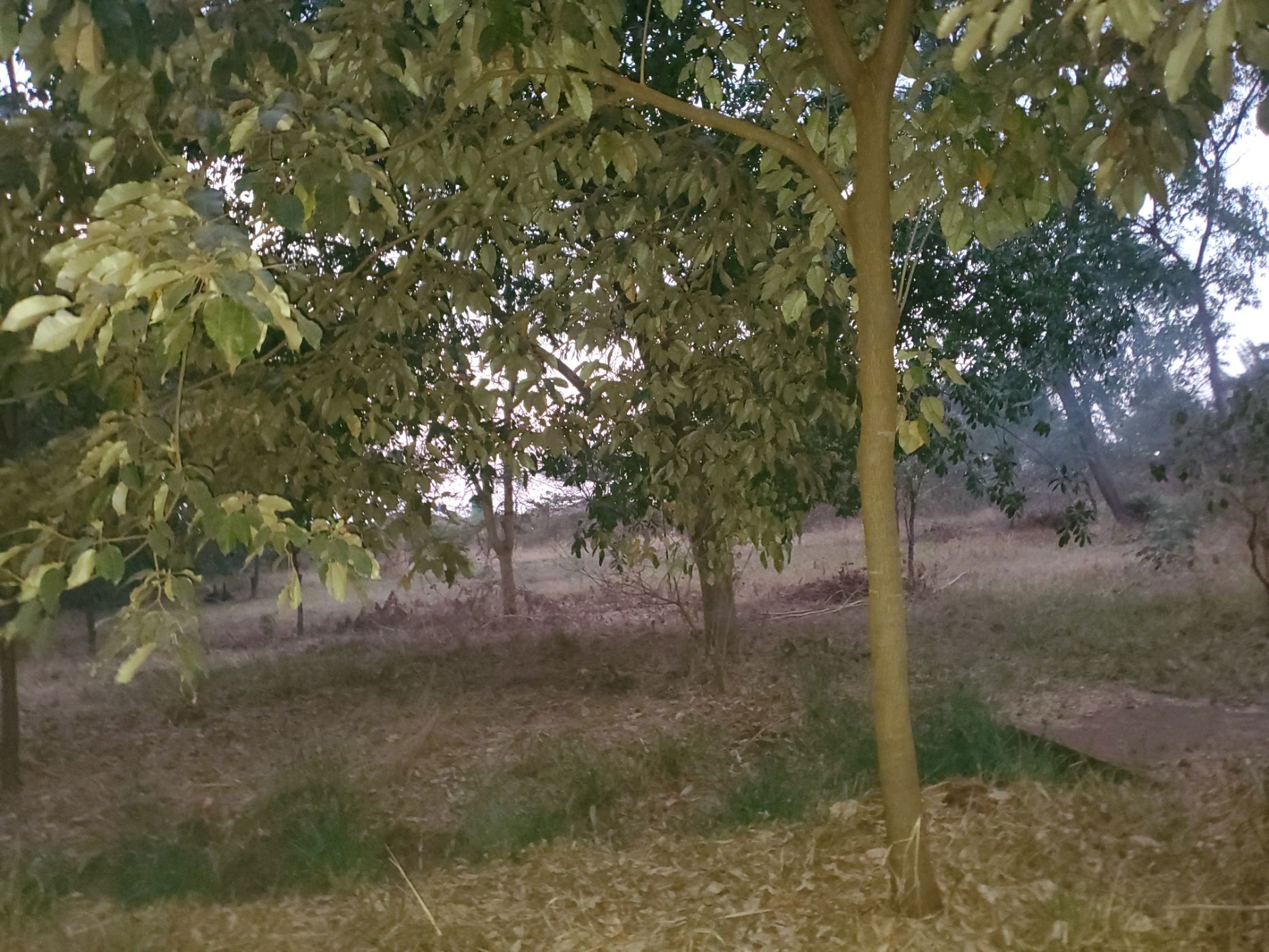 Commercial vacant land for sale in Tynwald, Zimbabwe - 3ZB1720977