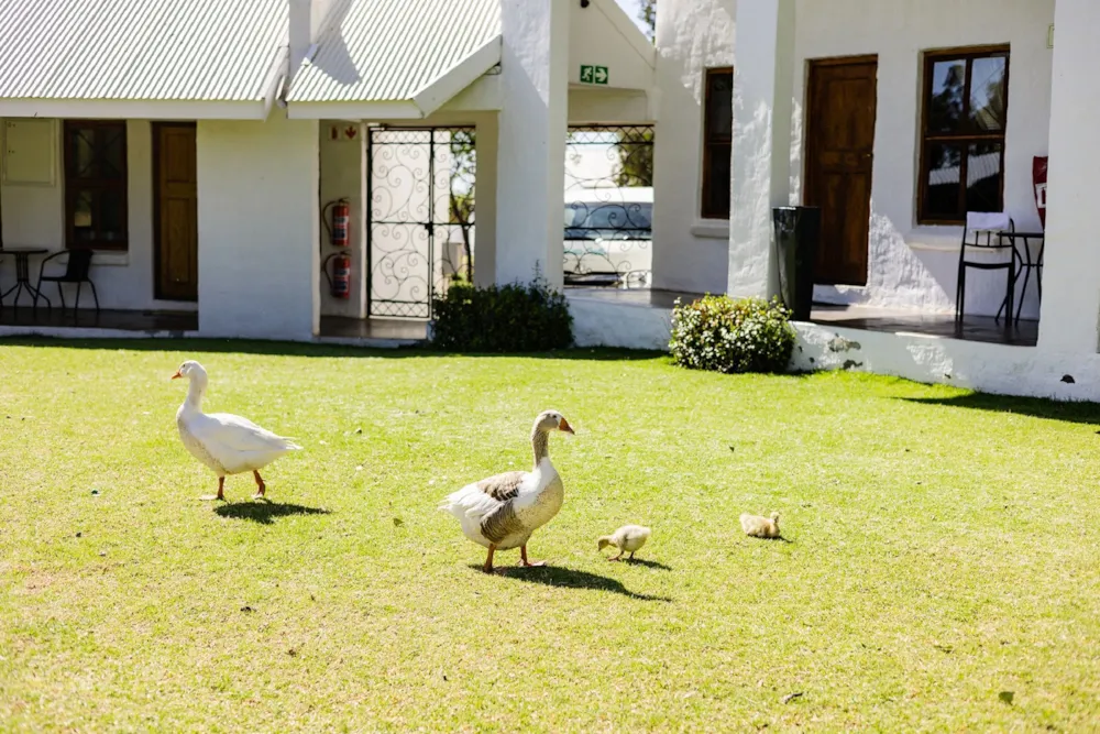 Resort for sale in Bloemfontein Rural - PGLAG1721026 Resort for sale in Bloemfontein Rural - PGLAG1721026