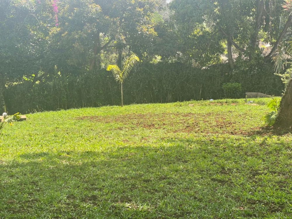 House to rent in Loresho, Kenya - 3KE1721325 House to rent in Loresho, Kenya - 3KE1721325