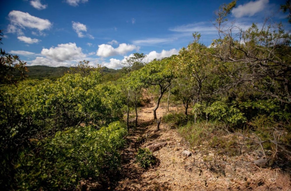 Residential vacant land for sale in Nyanga, Zimbabwe - 3ZB1721145 Residential vacant land for sale in Nyanga, Zimbabwe - 3ZB1721145