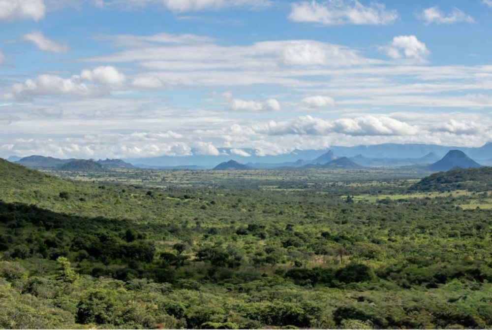 Residential vacant land for sale in Nyanga, Zimbabwe - 3ZB1721145 Residential vacant land for sale in Nyanga, Zimbabwe - 3ZB1721145