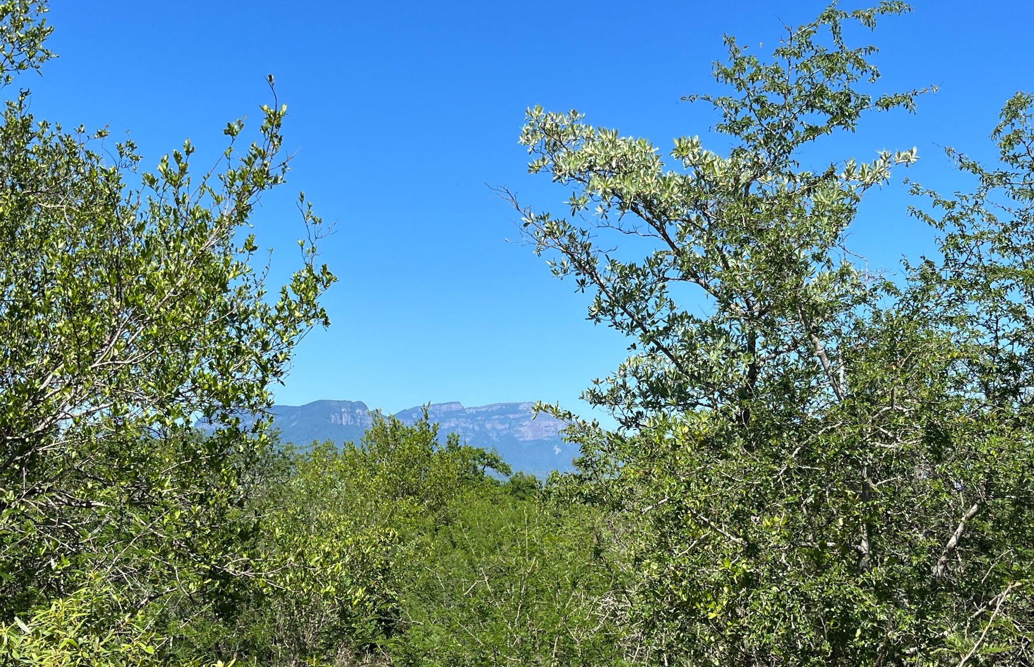 Vacant land for sale in Moditlo Nature Reserve - 1HS1721376