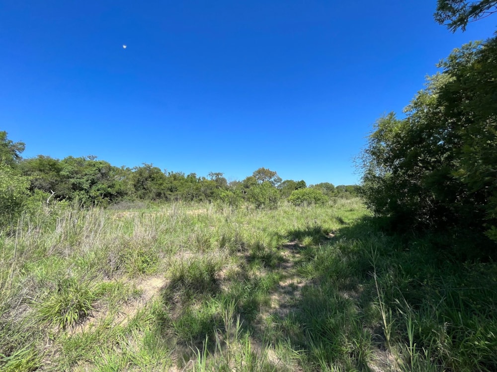 Vacant land for sale in Moditlo Nature Reserve - 1HS1721376 Vacant land for sale in Moditlo Nature Reserve - 1HS1721376