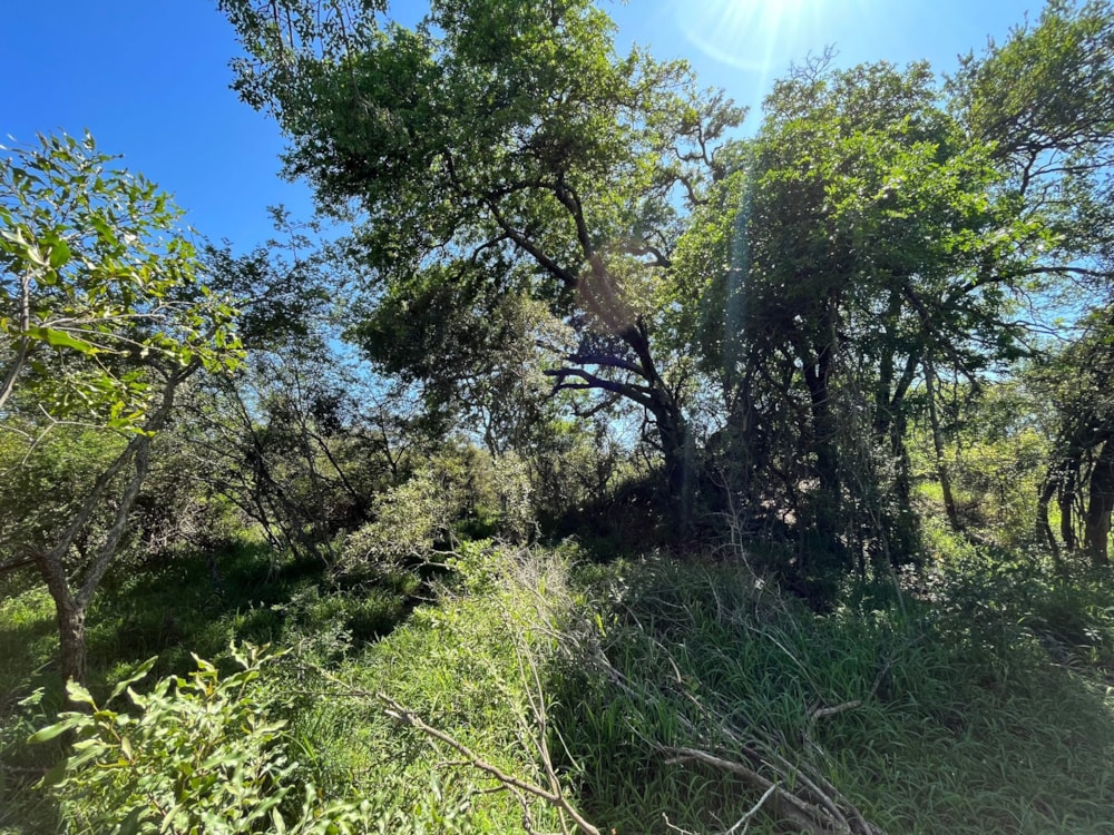 Vacant land for sale in Moditlo Nature Reserve - 1HS1721376 Vacant land for sale in Moditlo Nature Reserve - 1HS1721376