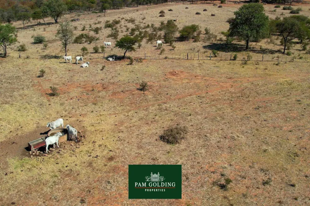 Farm vacant land for sale in Bubi district, Zimbabwe - 3ZB1721576