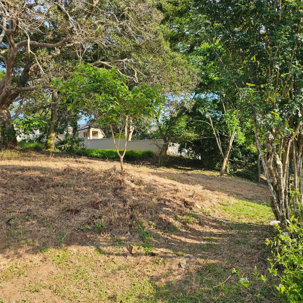 Residential vacant land for sale in Princes Grant - 1BD1721633 Residential vacant land for sale in Princes Grant - 1BD1721633