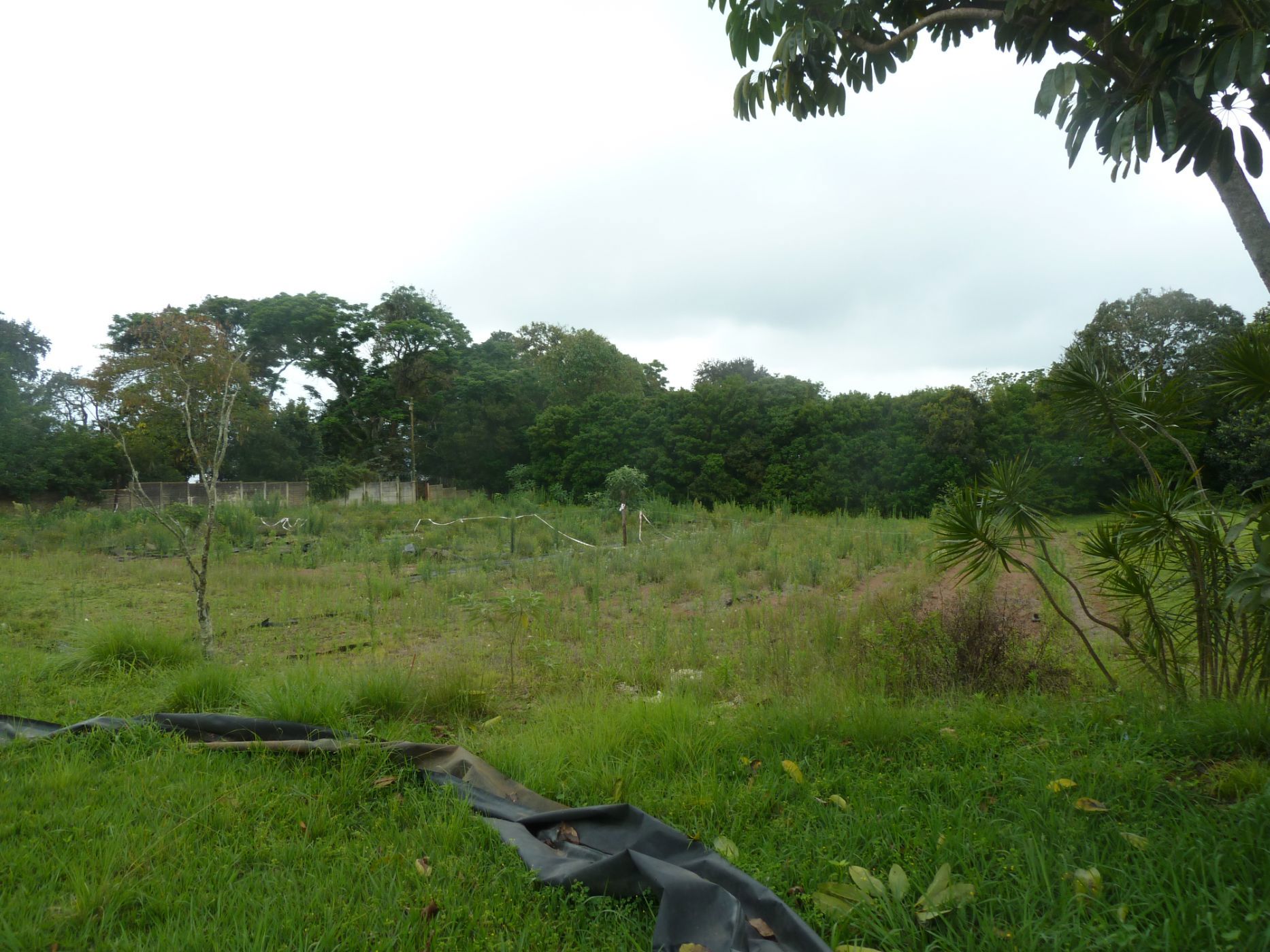Residential vacant land for sale in Crestholme - 1KF1721668