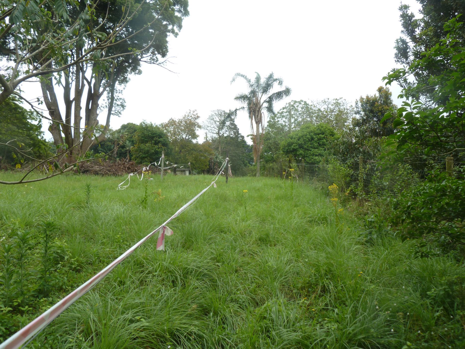 Residential vacant land for sale in Crestholme - 1KF1721672