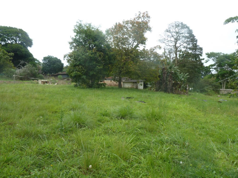 Residential vacant land for sale in Crestholme - 1KF1721676 Residential vacant land for sale in Crestholme - 1KF1721676