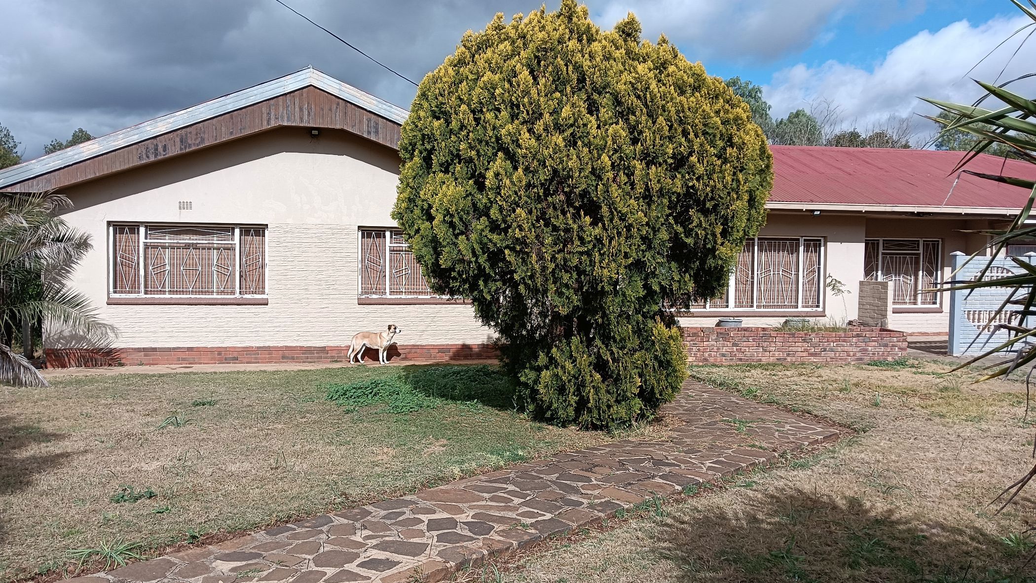 House to rent in Brandfort - 1BX1721874