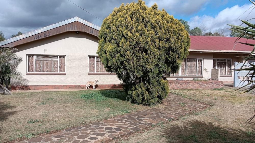 House to rent in Brandfort - 1BX1721874 House to rent in Brandfort - 1BX1721874