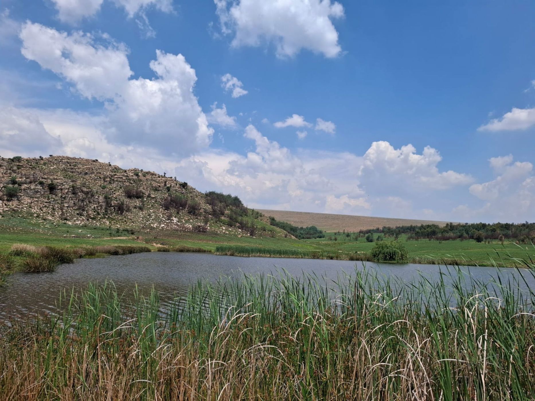 Mixed use farm for sale in Dullstroom - 1DS1722051