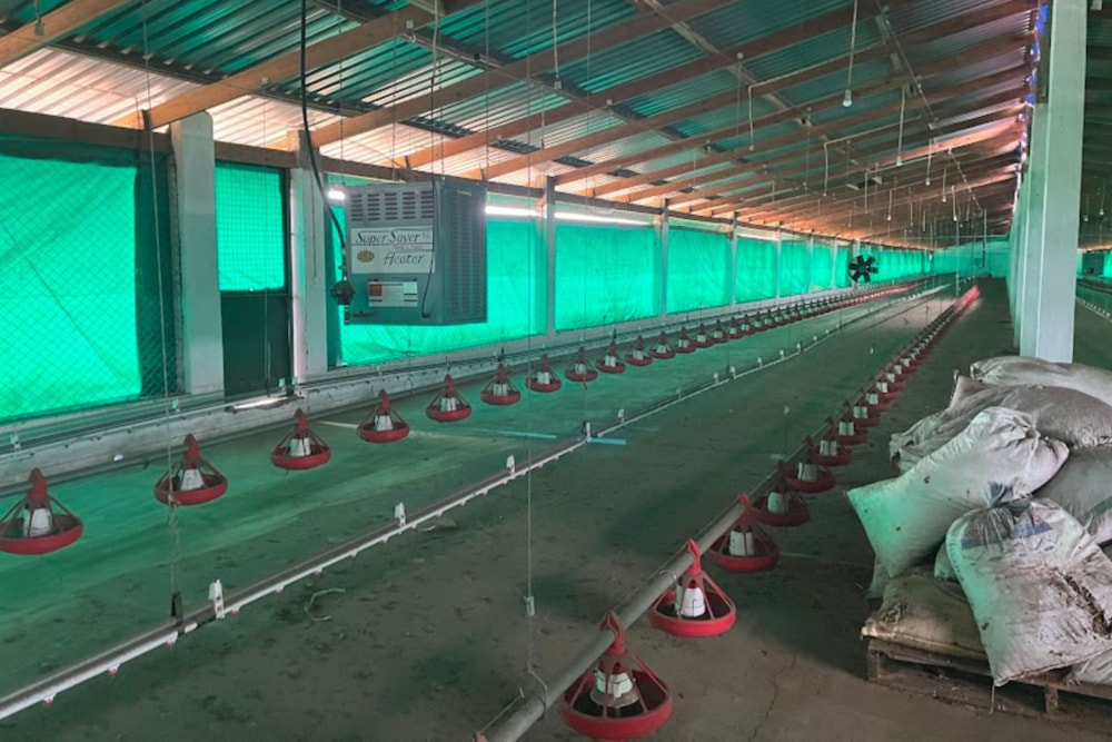 Poultry farm for sale in Maputo , Mozambique - 3MQ1721916 Poultry farm for sale in Maputo , Mozambique - 3MQ1721916