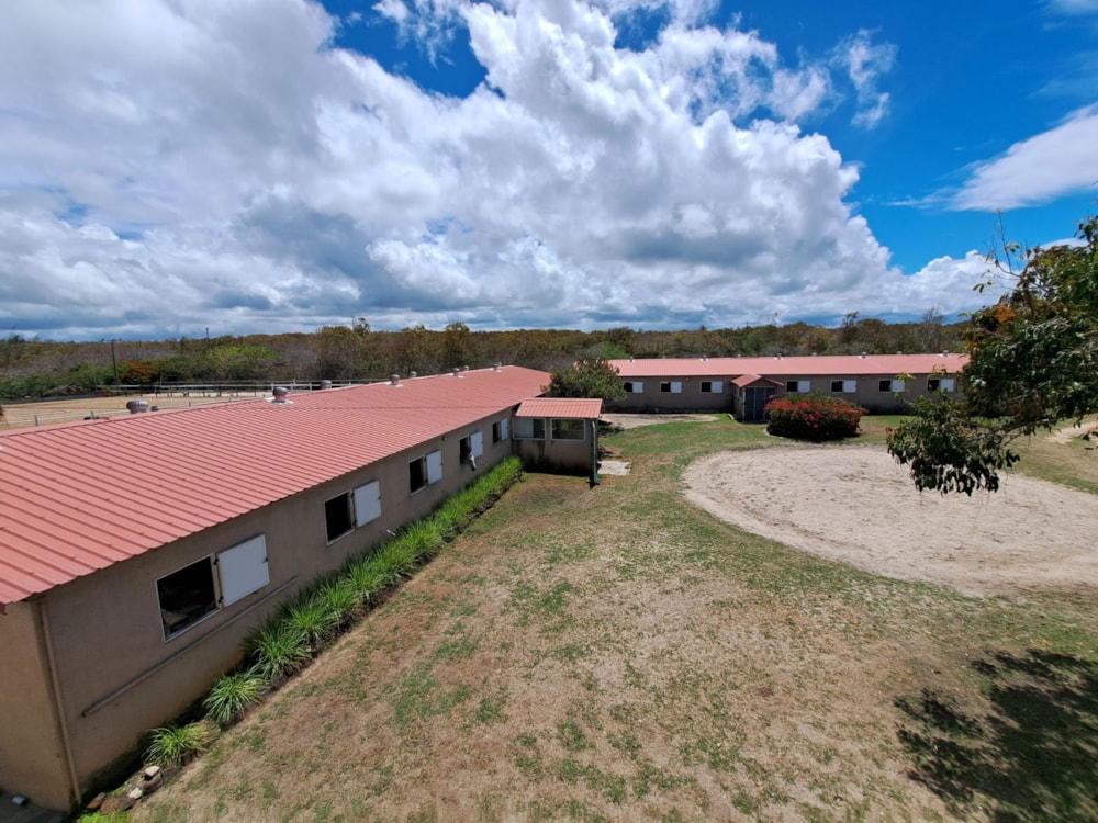 Apartment to rent in Poste Lafayette, Mauritius - MPR1721953