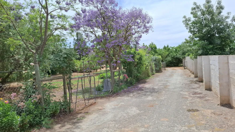 Residential vacant land for sale in McGregor - MG1721991