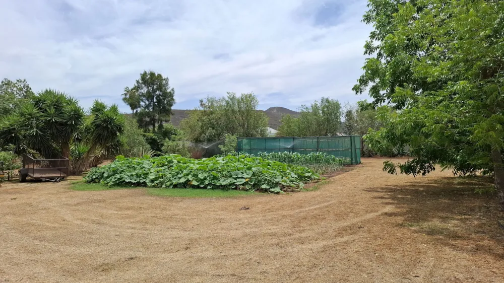 Residential vacant land for sale in McGregor - MG1721991