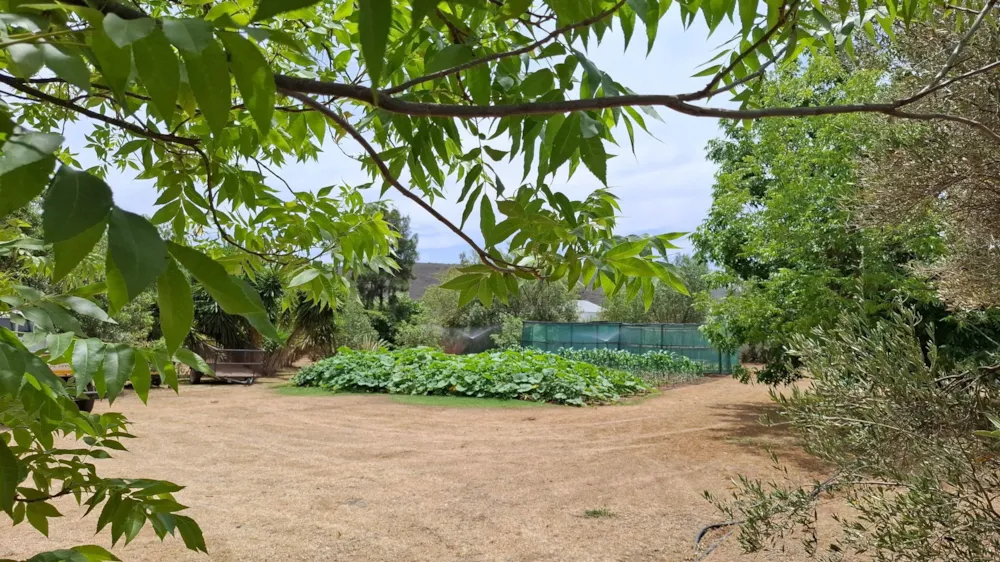 Residential vacant land for sale in McGregor - MG1721991