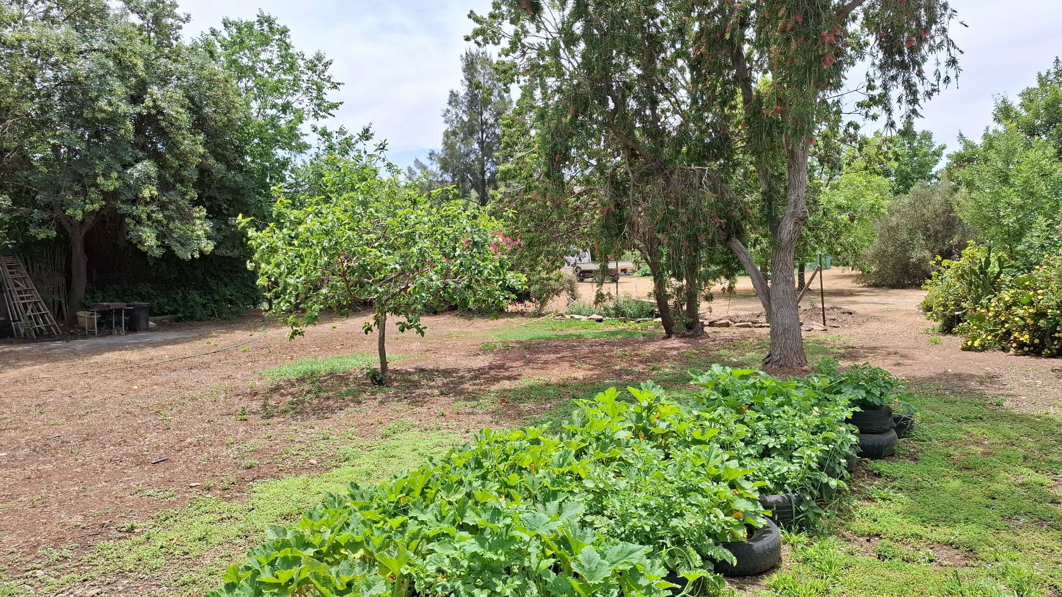 Residential vacant land for sale in McGregor - MG1721991