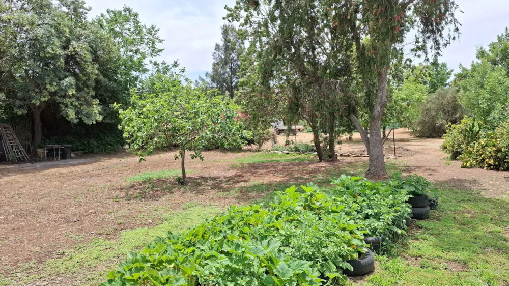 Residential vacant land for sale in McGregor - MG1721991