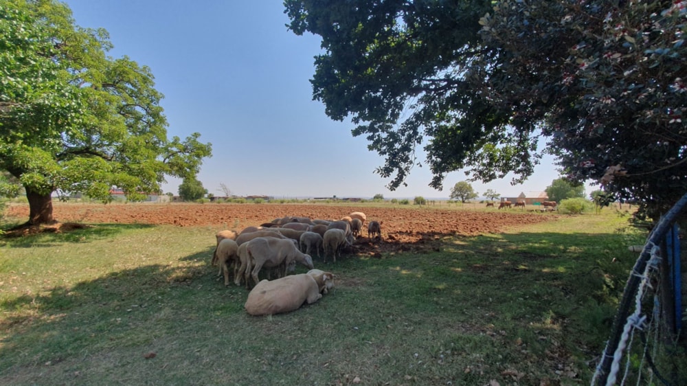 Lifestyle property for sale in Vanderbijlpark - 1VT1722322