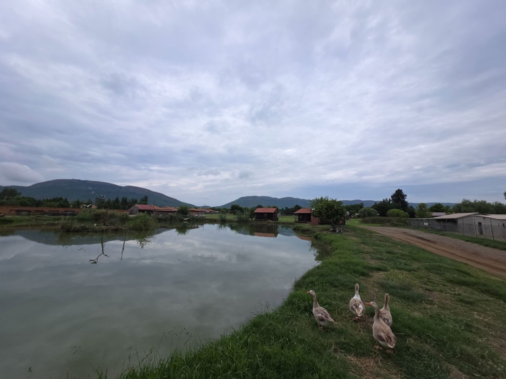 Commercial Building let in Melodie - 1HR1722126