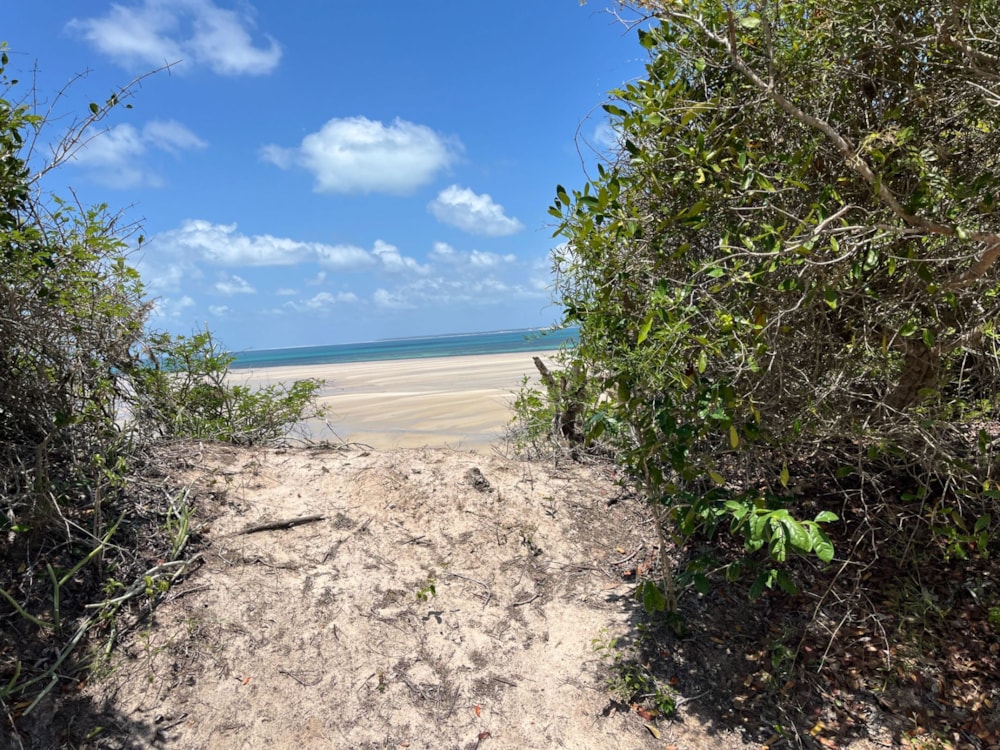 Vacant land for investment in Vilanculos, Mozambique - 3MQ1722132