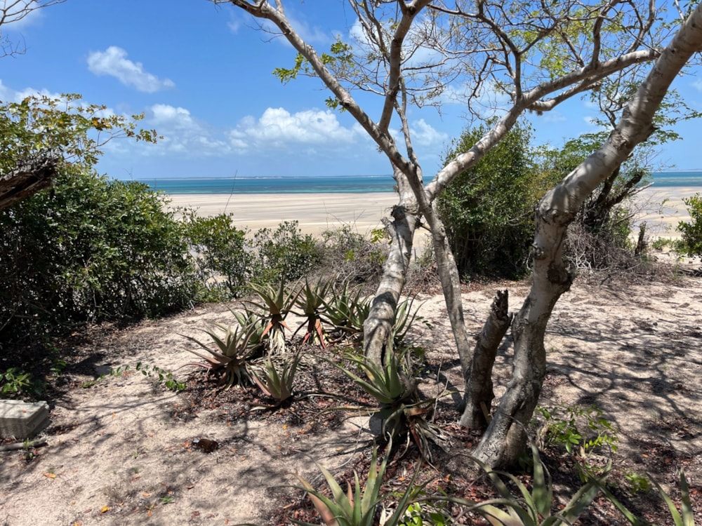 Vacant land for investment in Vilanculos, Mozambique - 3MQ1722132