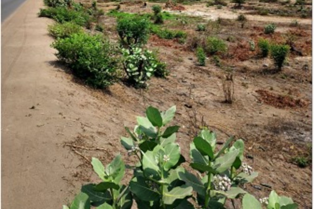 Vacant land for investment in Tete, Tete, Mozambique - 3MQ1722263 Vacant land for investment in Tete, Tete, Mozambique - 3MQ1722263