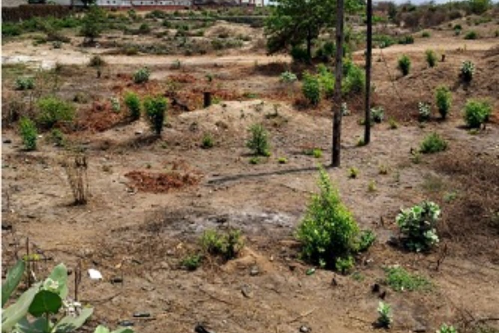 Vacant land for investment in Tete, Tete, Mozambique - 3MQ1722263 Vacant land for investment in Tete, Tete, Mozambique - 3MQ1722263