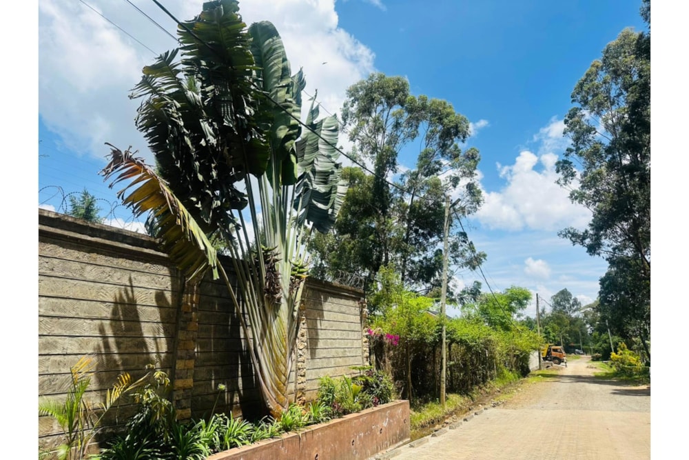 Residential vacant land for sale in Ridgeways, Kenya - 3KE1723212