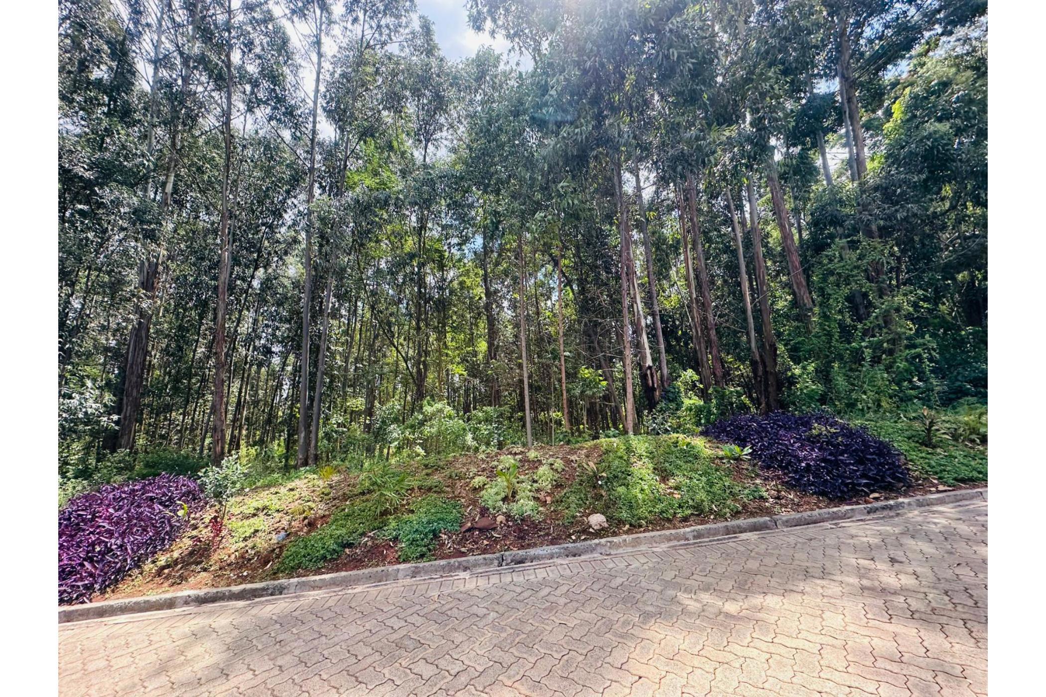 Residential vacant land for sale in Ridgeways, Kenya - 3KE1723212