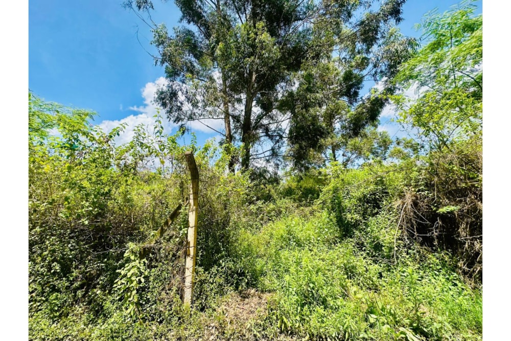 Residential vacant land for sale in Ridgeways, Kenya - 3KE1723212 Residential vacant land for sale in Ridgeways, Kenya - 3KE1723212