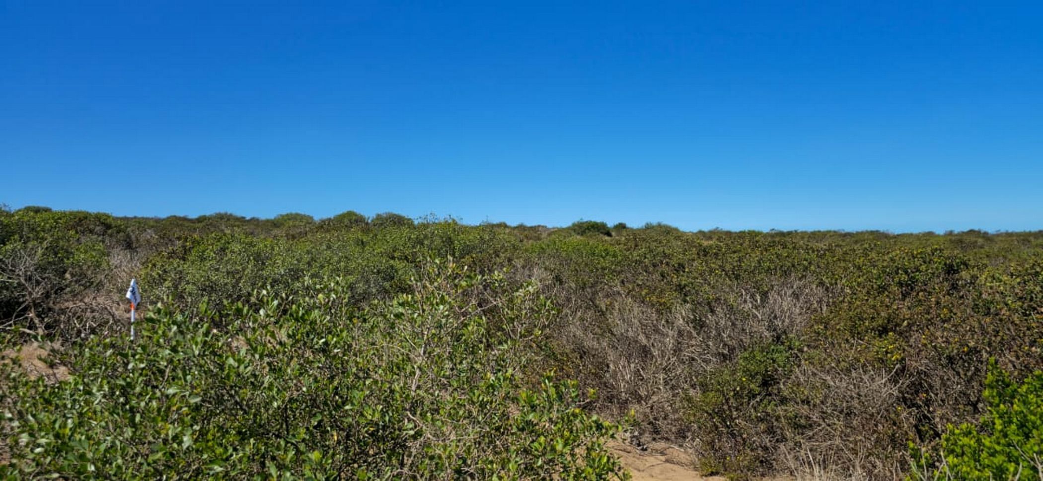 Residential vacant land for sale in Paradise Coast - 1MB1722356