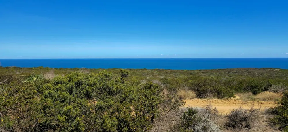 Residential vacant land for sale in Paradise Coast - 1MB1722356 Residential vacant land for sale in Paradise Coast - 1MB1722356