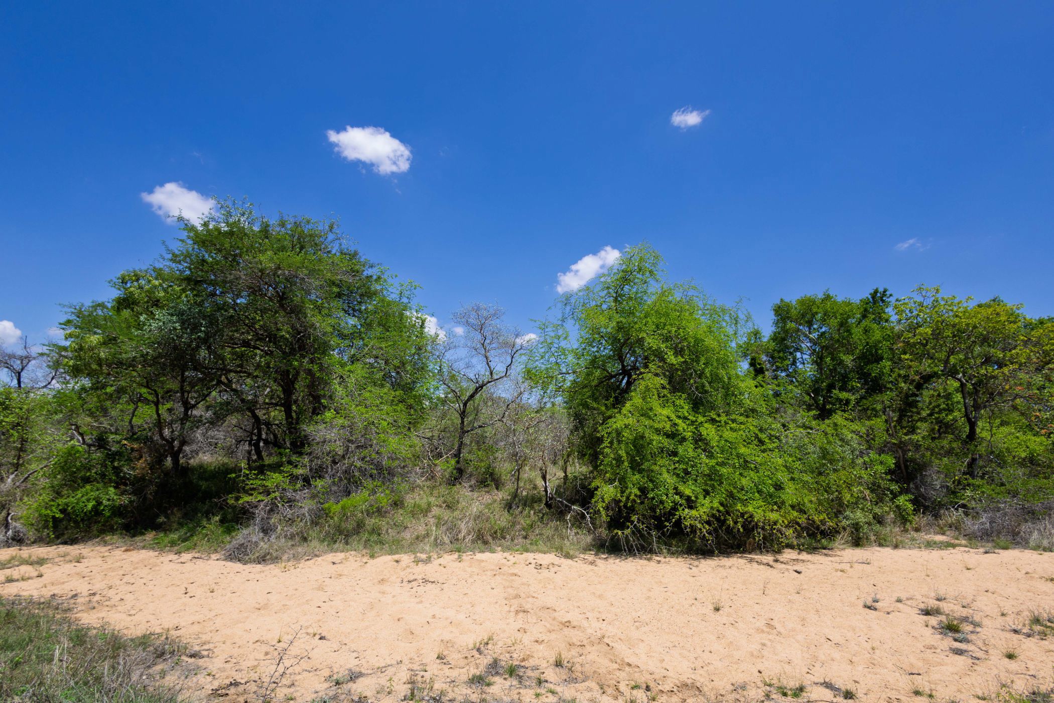 Vacant land for sale in Moditlo Nature Reserve - 1HS1722594