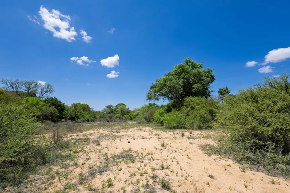 Vacant land for sale in Moditlo Nature Reserve - 1HS1722594