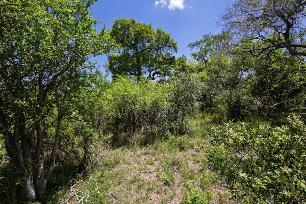 Vacant land for sale in Moditlo Nature Reserve - 1HS1722594