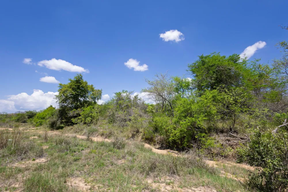 Vacant land for sale in Moditlo Nature Reserve - 1HS1722594