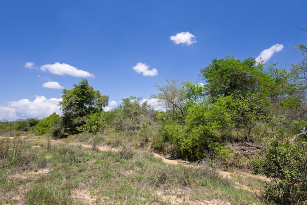 Vacant land for sale in Moditlo Nature Reserve - 1HS1722594 Vacant land for sale in Moditlo Nature Reserve - 1HS1722594