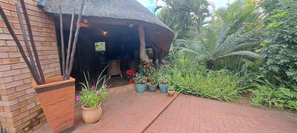 Single-storey house for sale in Phalaborwa - 1PW1722763 Single-storey house for sale in Phalaborwa - 1PW1722763