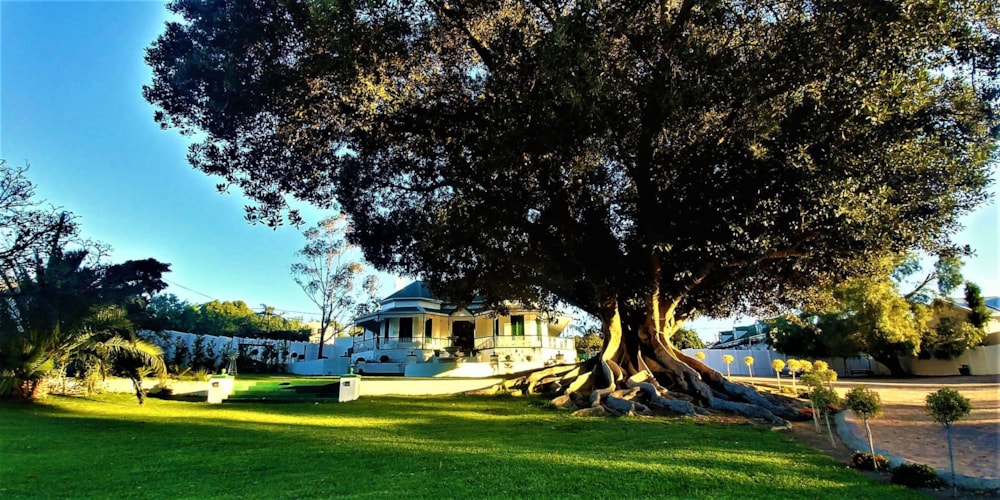 House for sale in Dalsig, Malmesbury - 1MS1722831 House for sale in Dalsig, Malmesbury - 1MS1722831