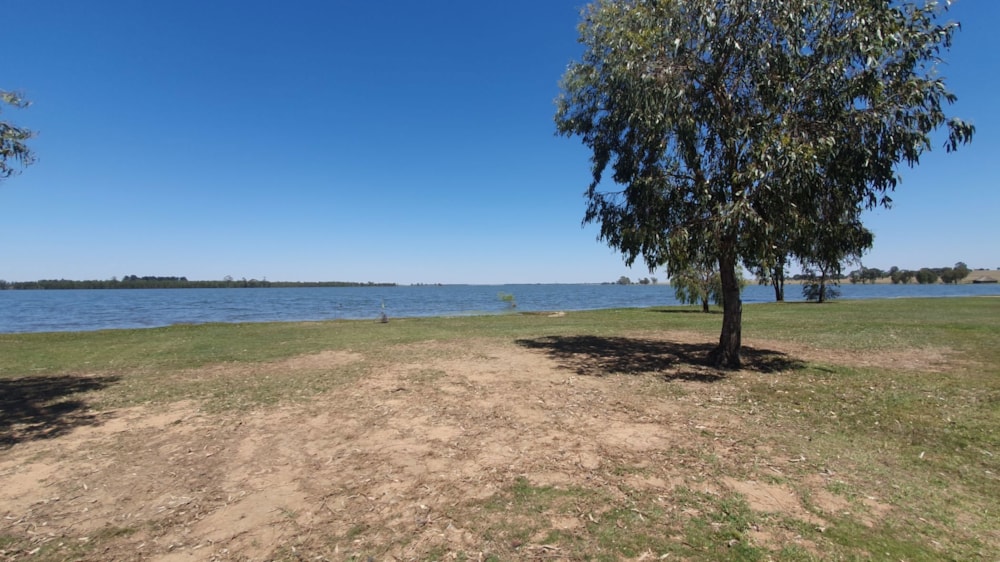 House for sale in Balfour Rural  - 1VT1722839