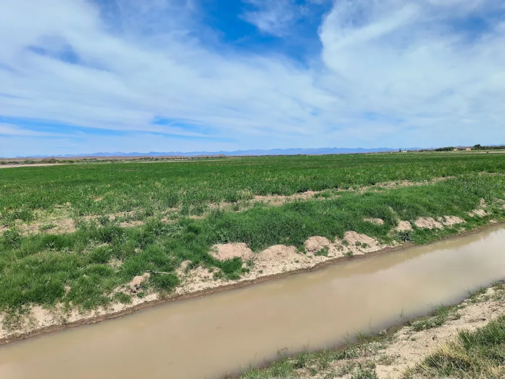 Mixed use farm for sale in Beaufort West Rural - 1KK1722692 Mixed use farm for sale in Beaufort West Rural - 1KK1722692
