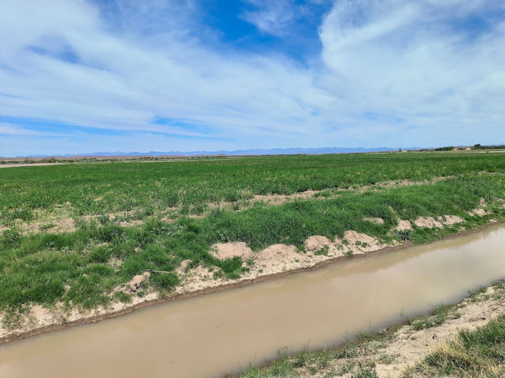 Mixed use farm for sale in Beaufort West Rural - 1KK1722692 Mixed use farm for sale in Beaufort West Rural - 1KK1722692